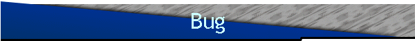 Bug
